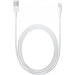 Apple Lightning to USB 1M Cable-SmartPhone Accessories-Connected Devices